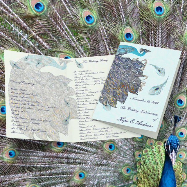 Programa de Casamento com Penas de Pavão Caprichos (Criador carregado)