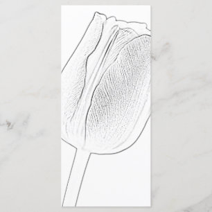 Programa de Casamento da primavera de Tulip Sketch