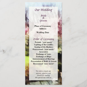 Programa de Casamento da Primavera Japonesa