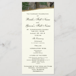 Programa de Casamento de Árvore Natural e Sair de