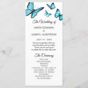 Programa de Casamento de Borboletas Azuis