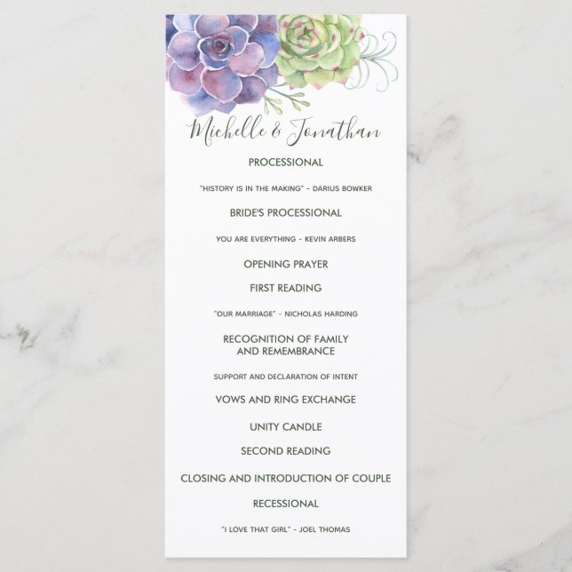 Programa de Casamento de Cactus Suculentas em Aqua (Frente)