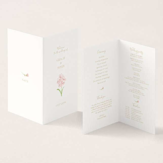 Programa de Casamento de Cartões Dobrados com Rosa (Interior e exterior)