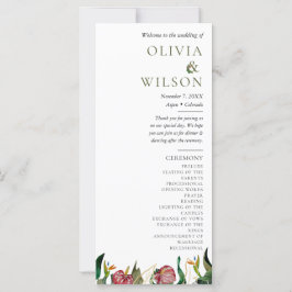 Programa de Casamento de Cores Aquáticas Tropicais