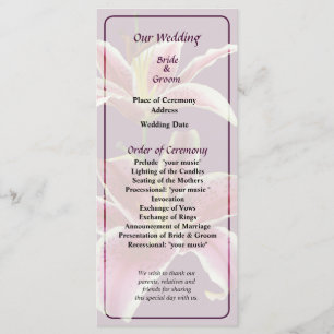 Programa de Casamento de Dois Lírios Stargazer