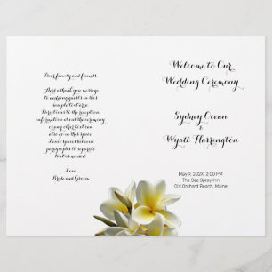 Programa de Casamento de Flores de Plumeria Amarel