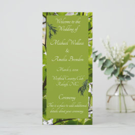 Programa de Casamento de Folhas Verdes