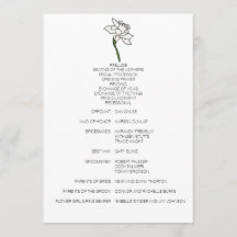 Programa de Casamento de Narciso Minimalista