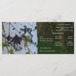 Programa de Casamento de Nascimentos
