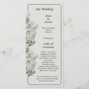 Programa de Casamento de Orquídeas de Phalaenopsis