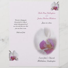Programa de Casamento de Orquídeas Rosa