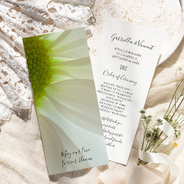 Programa de Casamento de Pétalas Brancas