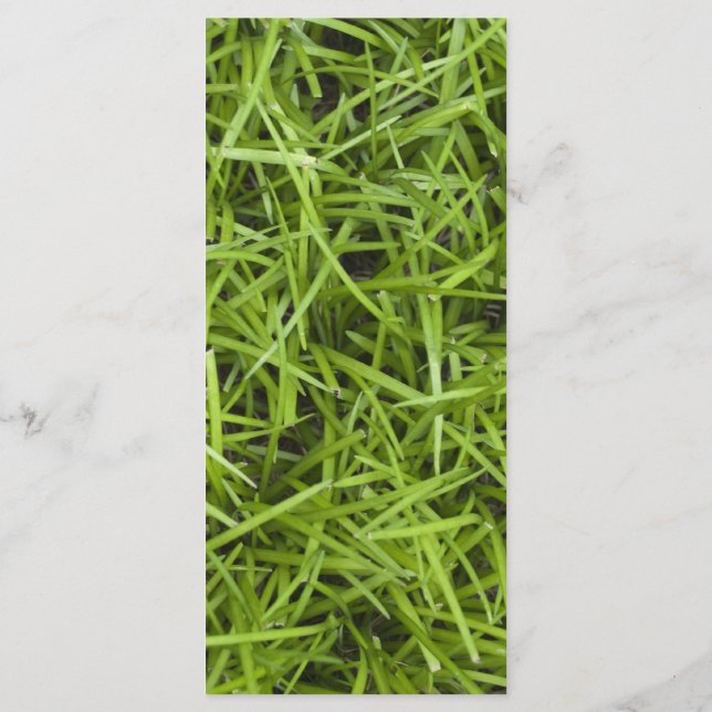 Programa de Casamento de Quintais de Grass Verde (Verso)