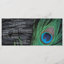 Programa de Casamento em Segundo Plano de Peacock