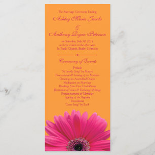 Programa de Casamento Laranja de Gerbera Daisy, Ro
