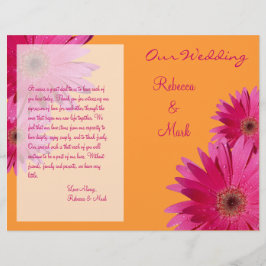 Programa de Casamento Laranja Rosa Gerbera Daisy