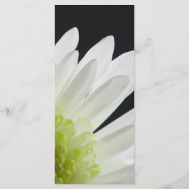 Programa de Casamento Negro da Margarida Branca