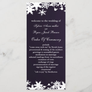 programa de casamento no inverno de flocos de neve