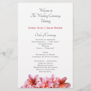 Programa de Casamento Planado de Flores de Plumeri