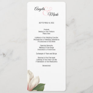 Programa de Flores da Magnolia Meridional   Branca