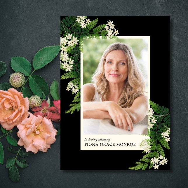 Programa de Folha de Foto de Ferns (Criador carregado)