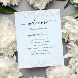 Programa de orçamento para casamento de prata azul