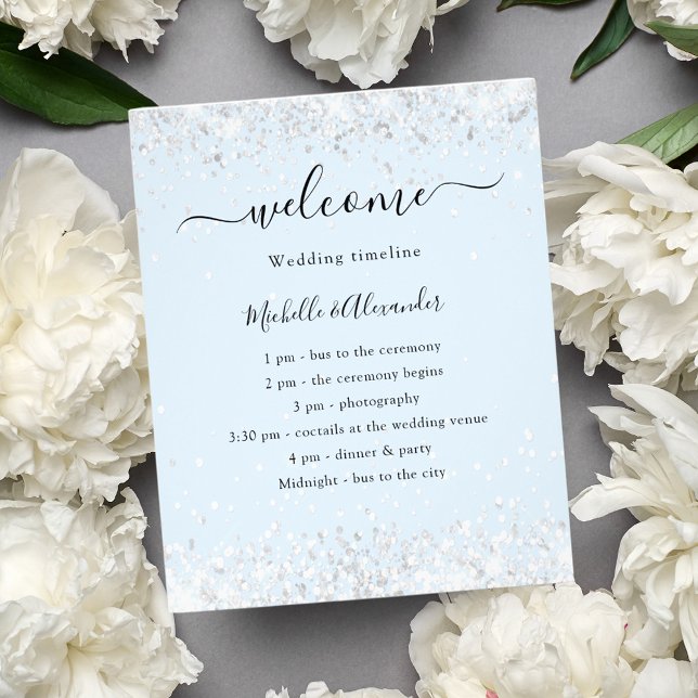 Programa de orçamento para casamento de prata azul (Criador carregado)