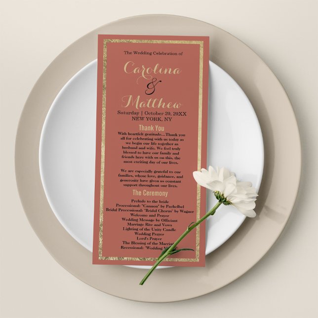 Programa de ouro rosado elegante e moderno (Modern simple elegant rosy peach gold Program)