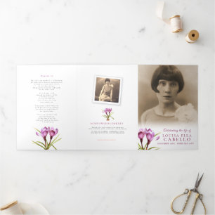 Programa de serviços funerários