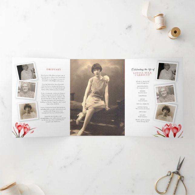 Programa de serviços funerários — laranja-laranja- (Dentro)