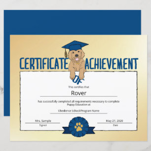 Programa Dourado Puppy Obediência A Pet Obedience