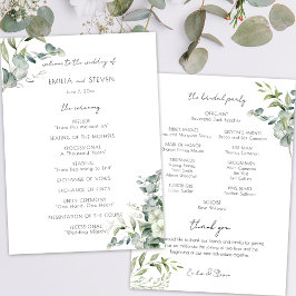 Programa Elegante Eucalyptus Greenery
