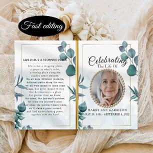 Programa Eucalipto Celebração Elegante da Vida
