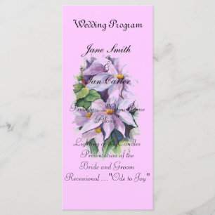 Programa Flor de Lilak clematis