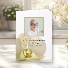 Programa Flor Orquídea no Serviço Funeral Branco Dobrado