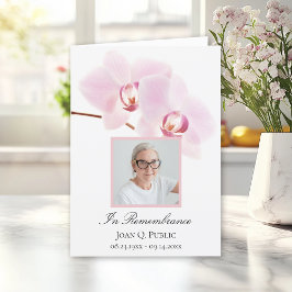 Programa Flor Orquídeo Rosa no Serviço Funeral Branco Dobra