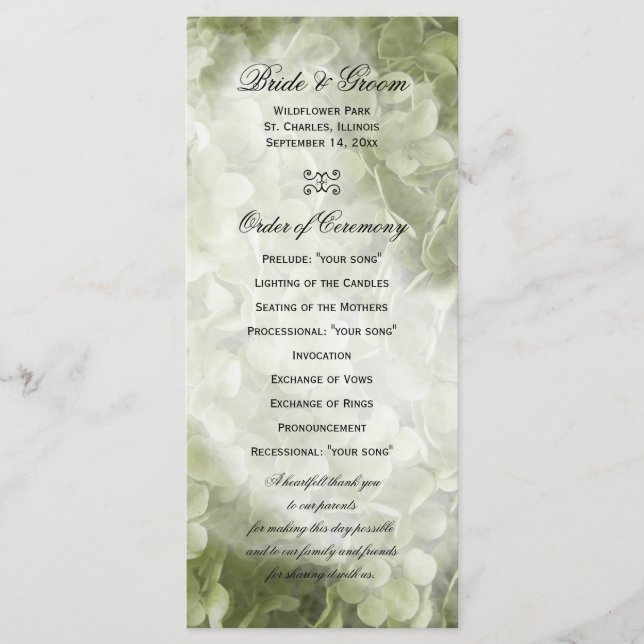 Programa Floral de Casamento Verde Annabelle Hydra (Frente)