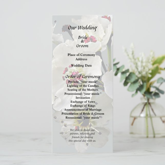 Programa Flores de Pêra Branca em Flor (Em pé/Frente)