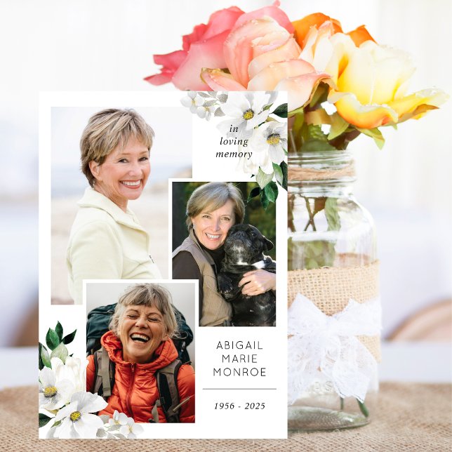 Programa Flores do Canto da Galeria Dobradas (Criador carregado)