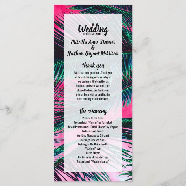 Programa Frentes de árvores tropicais de verão tropicais co (Frente)