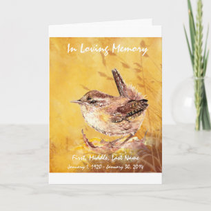 Programa Funcional - Marca Wren de Aquarela Person