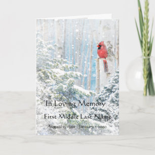 Programa Funeral Aves Vermelhas Cardinais Neve de