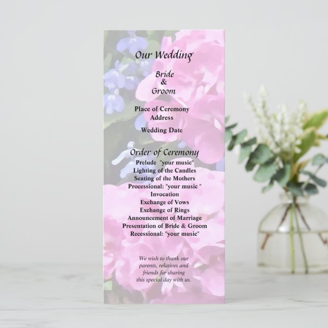 Programa Geraniums e Periwinkle (Em pé/Frente)