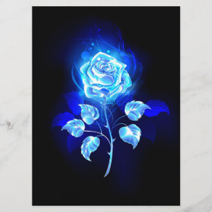 Programa Gravação de Rosa Azul