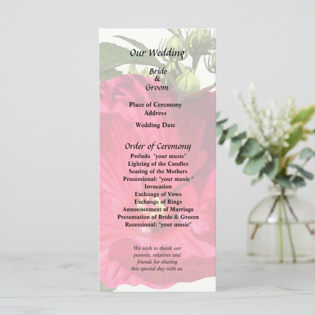 Programa Hibisco Rosa Escuro (Em pé/Frente)