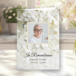 Programa Hydrangea Branca Serviço Funeral Floral Dobrado