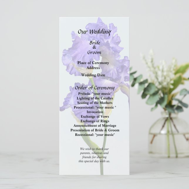 Programa Íris Tripla Roxa (Em pé/Frente)