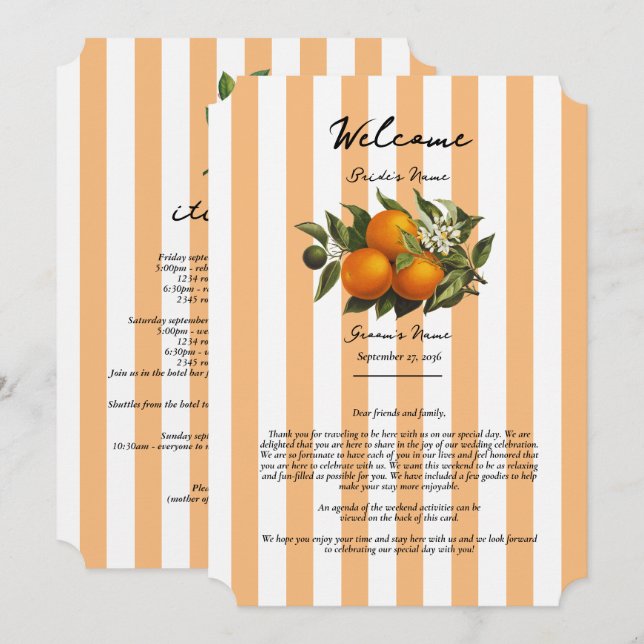 Programa Itinerário de Casamento de Laranja Cítrica Mediter (Frente/Verso)