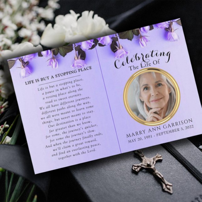 Programa Life de Fotografia Roxa do Orçamento (Criador carregado)