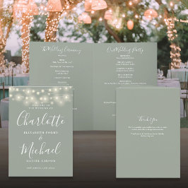 Programa Luzes de Corda Verde Salvia Casamento de Letra Ele